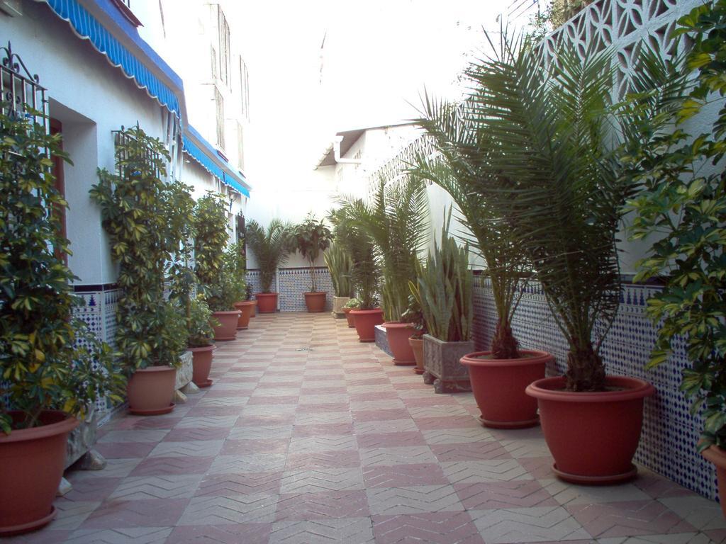 La Luna Marbella Exterior photo